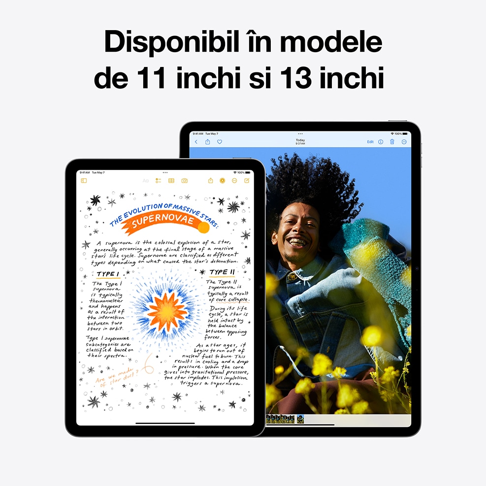 Tableta APPLE iPad Air 13